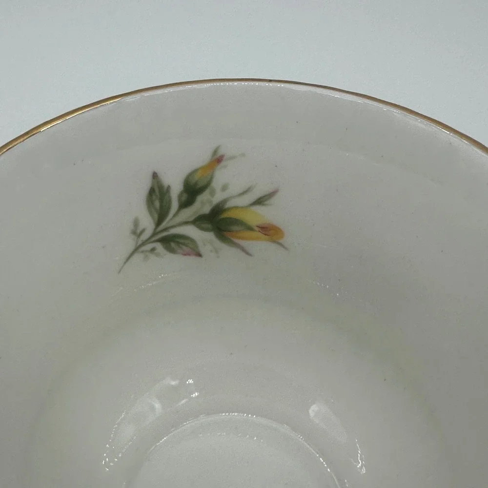 Queen's Rosina Staffordshire Tea Cup Saucer Set Yellow Rose Cottage Bone China